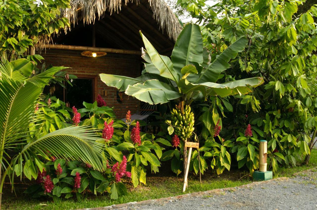 El Campito Lodge Аямпе Экстерьер фото